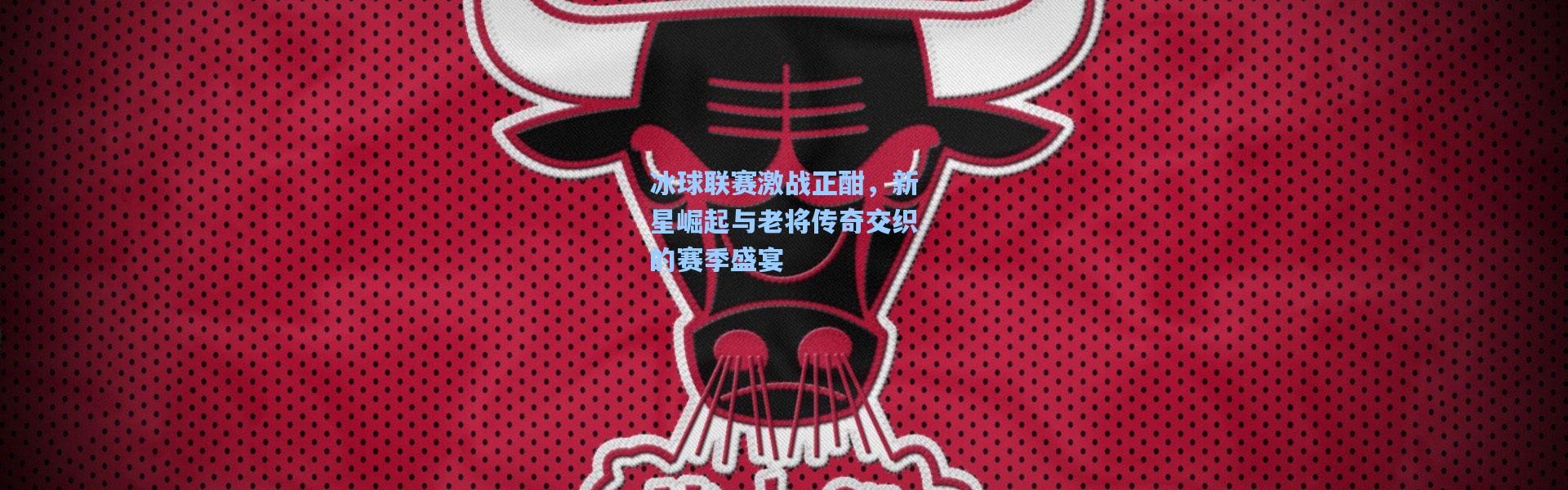 壹号娱乐下载：冰球联赛激战正酣，新星崛起与老将传奇交织的赛季盛宴