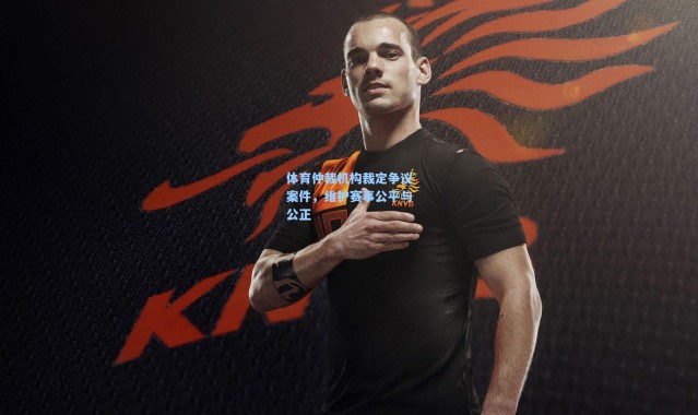 壹号娱乐app下载：体育仲裁机构裁定争议案件，维护赛事公平与公正