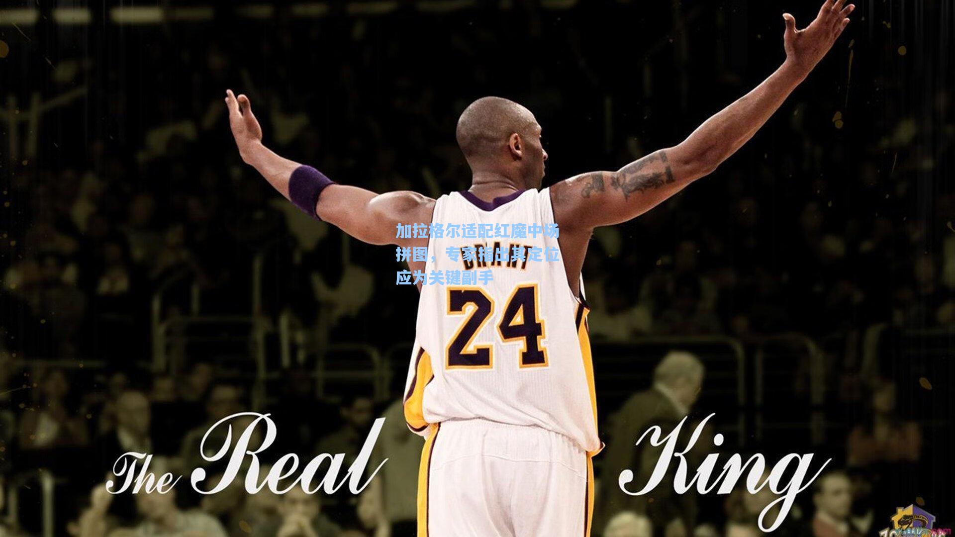 加拉格尔适配红魔中场拼图，专家指出其定位应为关键副手